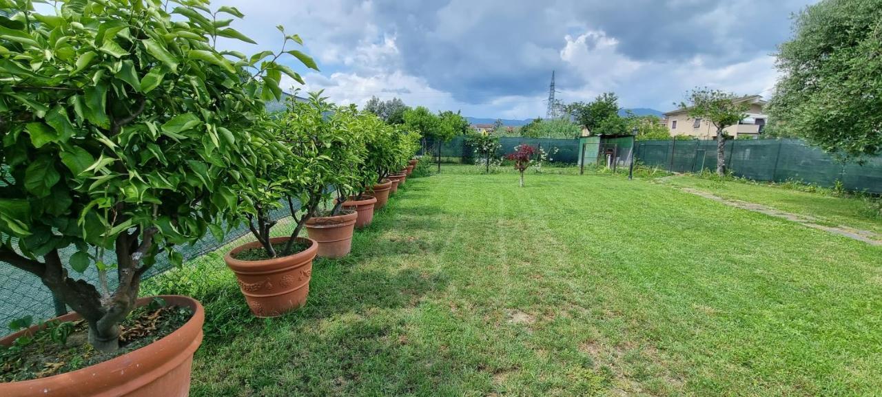Villa Casa Marcobando Lucca Esterno foto